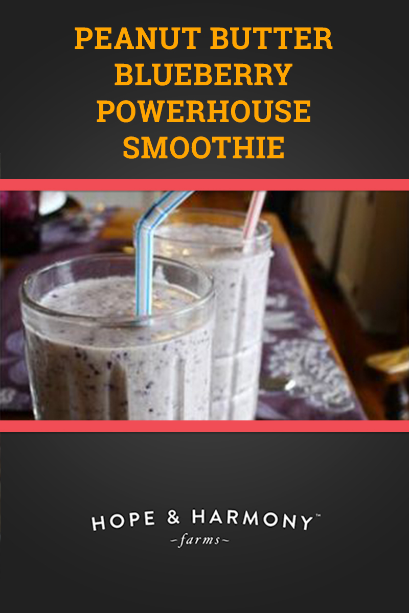 blueberry-pb-smoothie-v1.jpg