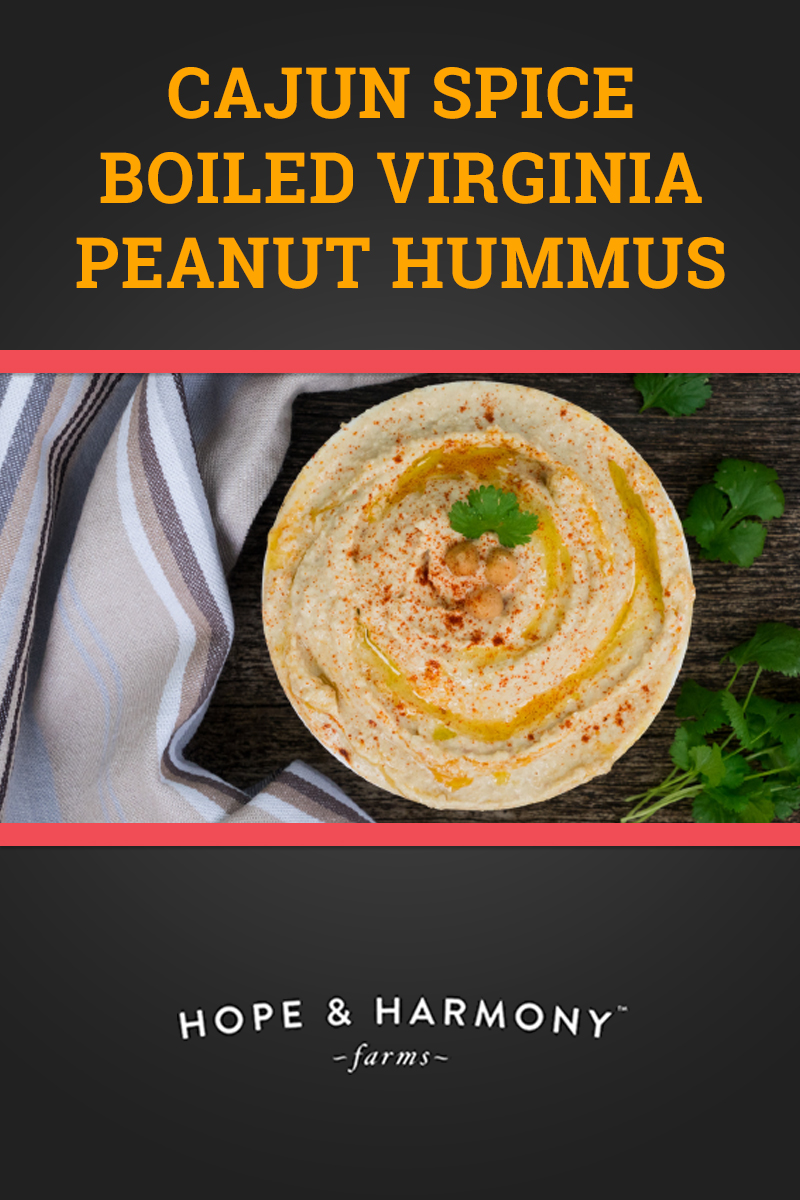 Cajun Spice Boiled Virginia Peanut Hummus Recipe