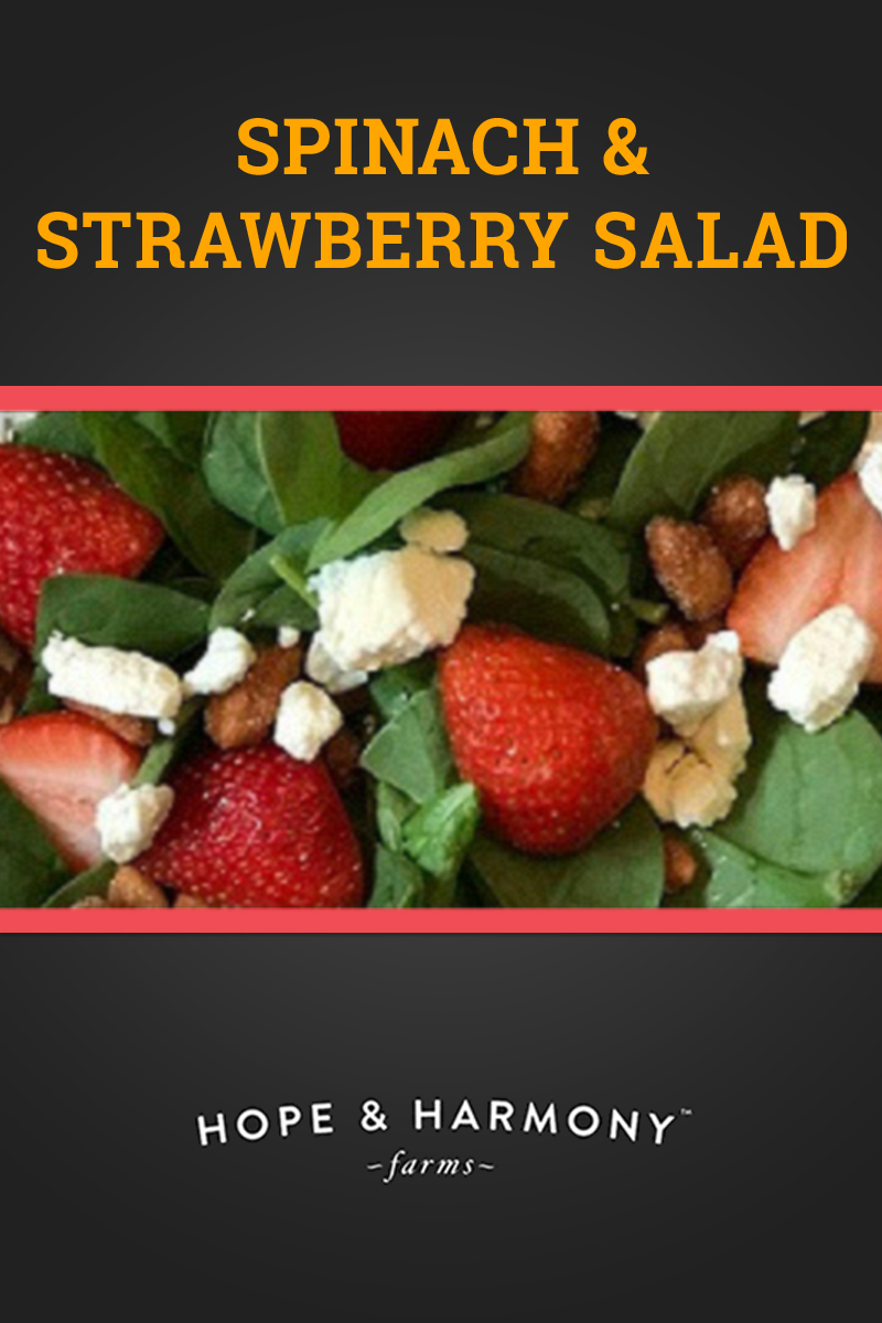 spinach-strawberry-salad.jpg